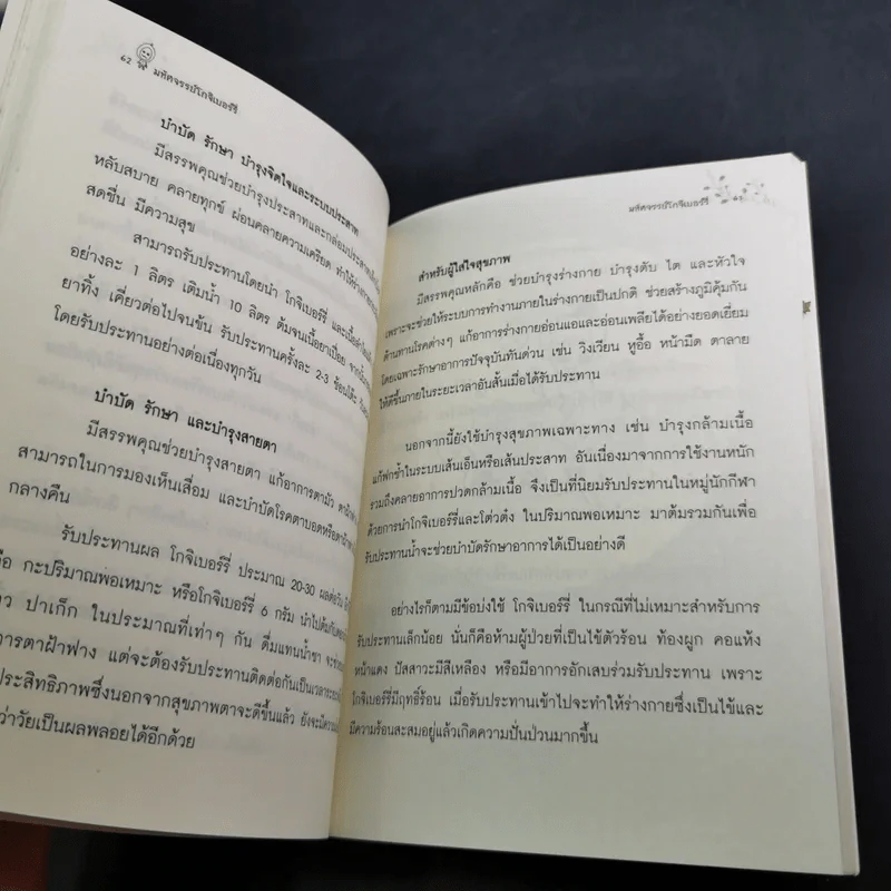 มหัศจรรย์โกจิเบอร์รี่ ราชินีแห่งผลไม้ชะลอความแก่ รูปที่ 15