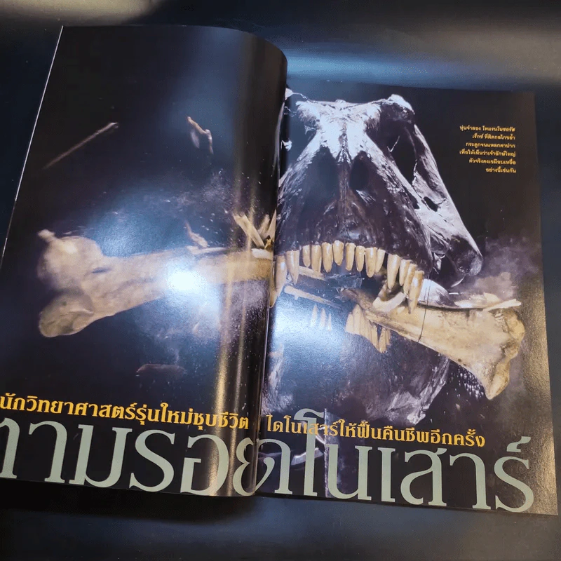 National Geographic มี.ค.2546 รูปที่ 11