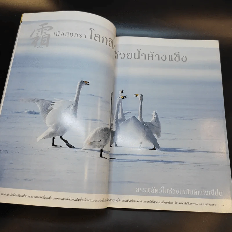 National Geographic ม.ค.2546 รูปที่ 11