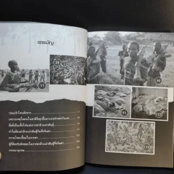 คนฆ่าคนที่รวันดาตายกว่าล้านศพ - รวิโรจน์ รูปที่ 10