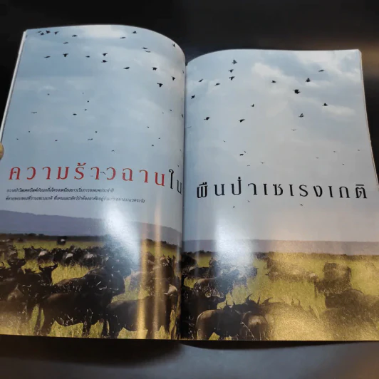 National Geographic ก.พ.2549 รูปที่ 15