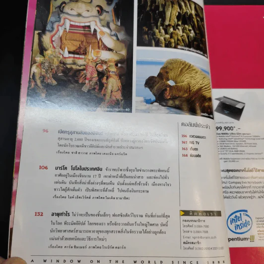 National Geographic ก.ย.2544 รูปที่ 11