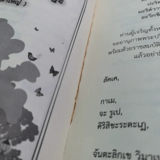 เมตตาธรรม ค้ำจุนโลก อานิสงส์การสวดมนต์เมตตาใหญ่ รูปที่ 19