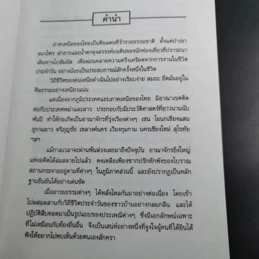 ผ๋อป๋าเวณีบ้านเฮา - เจริญ ตันมหาพราน รูปที่ 11