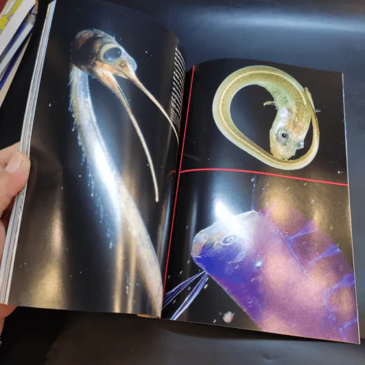 National Geographic มิ.ย.2547 รูปที่ 12