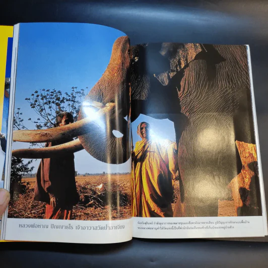 National Geographic เม.ย.2549 รูปที่ 13