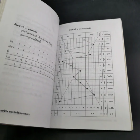 กราฟชีวิตทายทักลิขิตดวงชะตา - อ.พิศมัย ชำนาญคิด รูปที่ 15