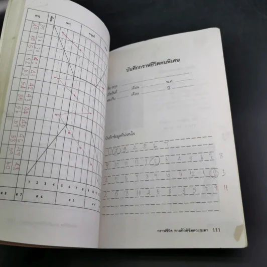 กราฟชีวิตทายทักลิขิตดวงชะตา - อ.พิศมัย ชำนาญคิด รูปที่ 17