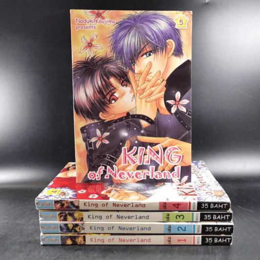 การ์ตูนวาย King of Neverland 5 เล่มจบ รูปที่ 1