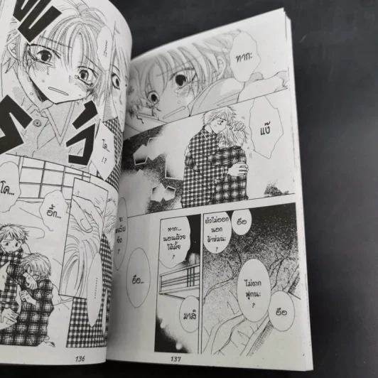 การ์ตูนวาย อารมณ์ อาจารย์ ความรัก เล่ม 1-2 รูปที่ 14