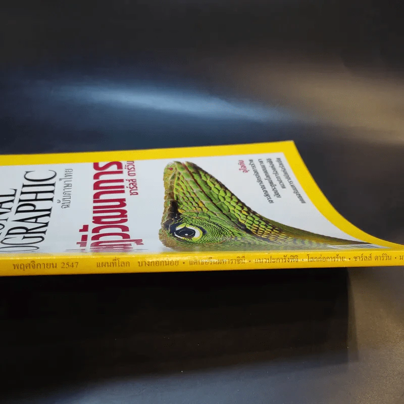 National Geographic พ.ย.2547 รูปที่ 4