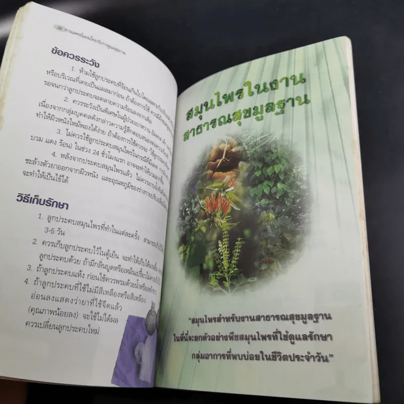 การแพทย์แผนไทยกับการดูแลสุขภาพ รูปที่ 12
