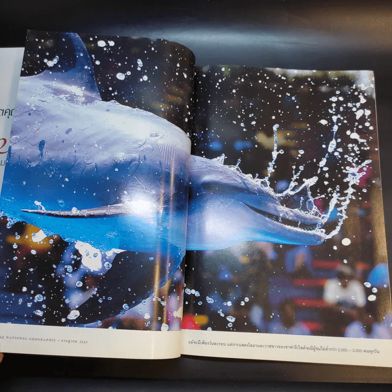 National Geographic ก.ค.2551 รูปที่ 13