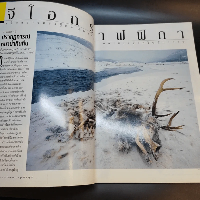 National Geographic ต.ค.2547 รูปที่ 5