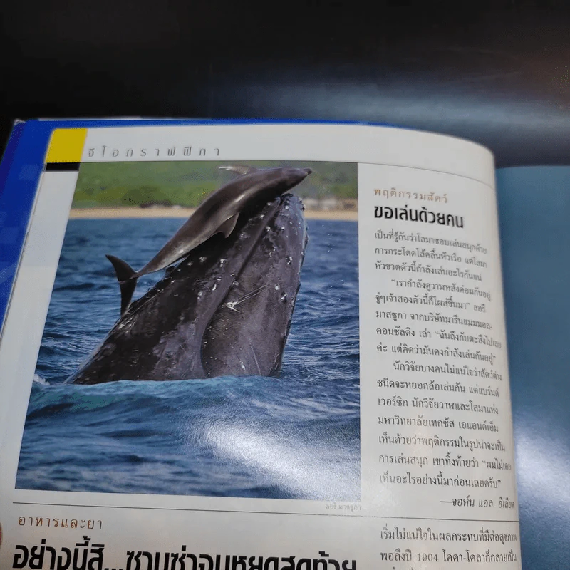 National Geographic ต.ค.2547 รูปที่ 6