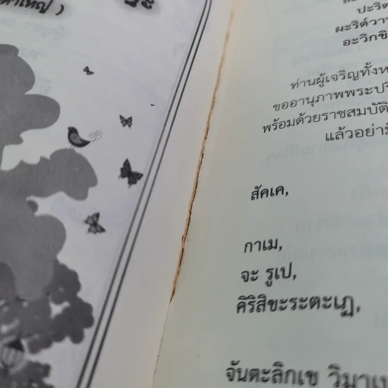 เมตตาธรรม ค้ำจุนโลก อานิสงส์การสวดมนต์เมตตาใหญ่ รูปที่ 19