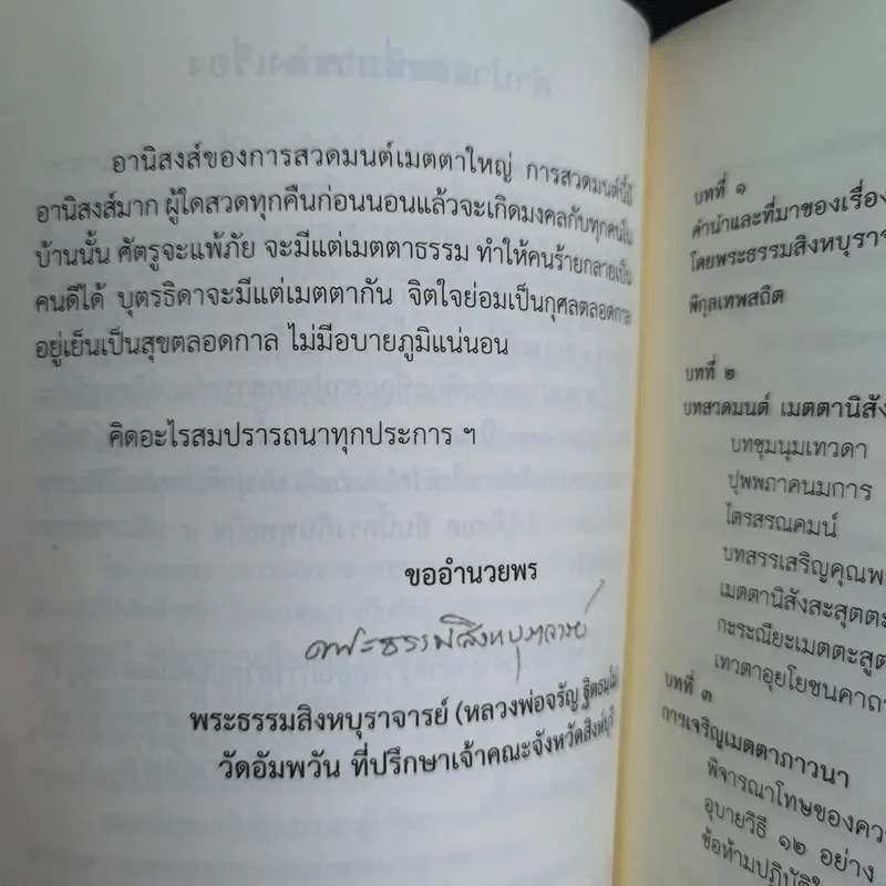 เมตตาธรรม ค้ำจุนโลก อานิสงส์การสวดมนต์เมตตาใหญ่ รูปที่ 11