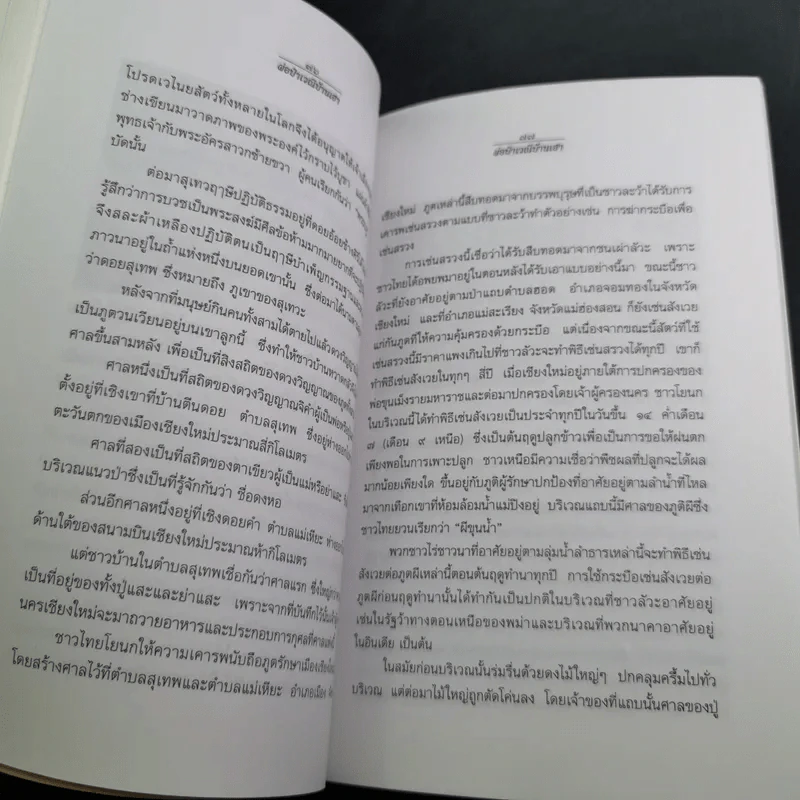 ผ๋อป๋าเวณีบ้านเฮา - เจริญ ตันมหาพราน รูปที่ 16