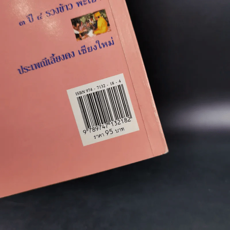 ผ๋อป๋าเวณีบ้านเฮา - เจริญ ตันมหาพราน รูปที่ 3