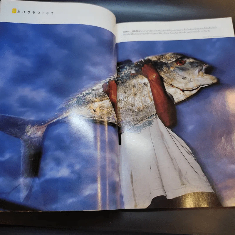 National Geographic พ.ค.2549 รูปที่ 11