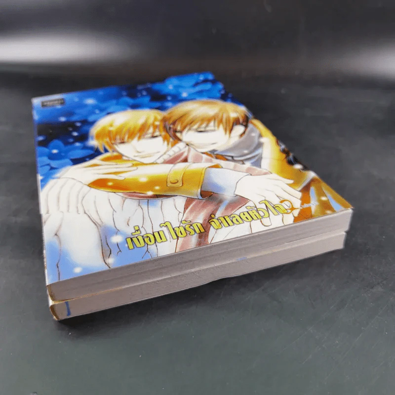 การ์ตูนวาย เงื่อนไขรัก จำเลยหัวใจ 2 เล่มจบ รูปที่ 4