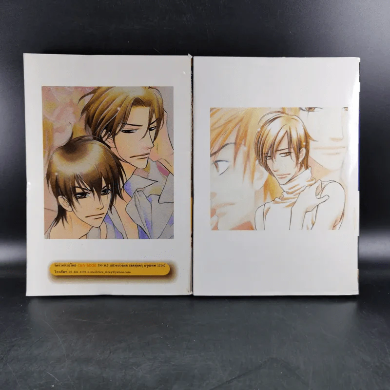 การ์ตูนวาย เงื่อนไขรัก จำเลยหัวใจ 2 เล่มจบ รูปที่ 2