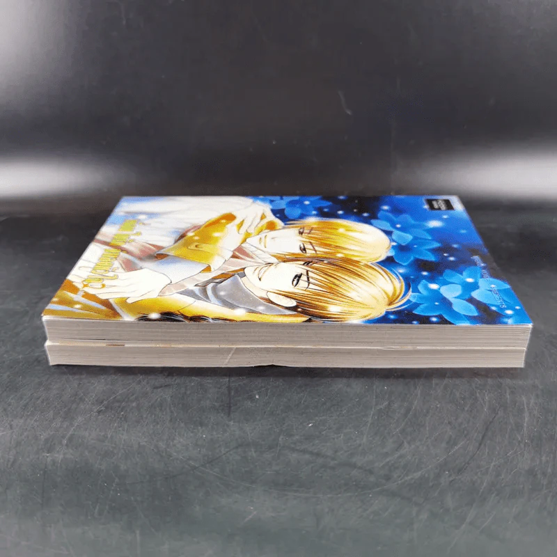 การ์ตูนวาย เงื่อนไขรัก จำเลยหัวใจ 2 เล่มจบ รูปที่ 5