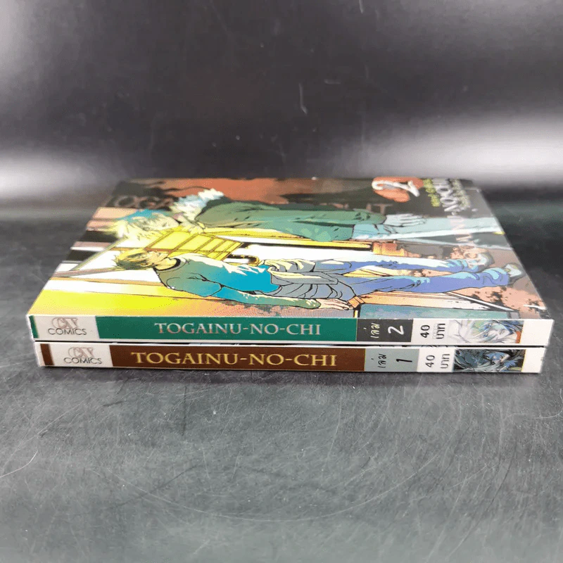 Togainu-No-Chi โทงะอินุ โนะ จิ เล่ม 1-2 รูปที่ 3