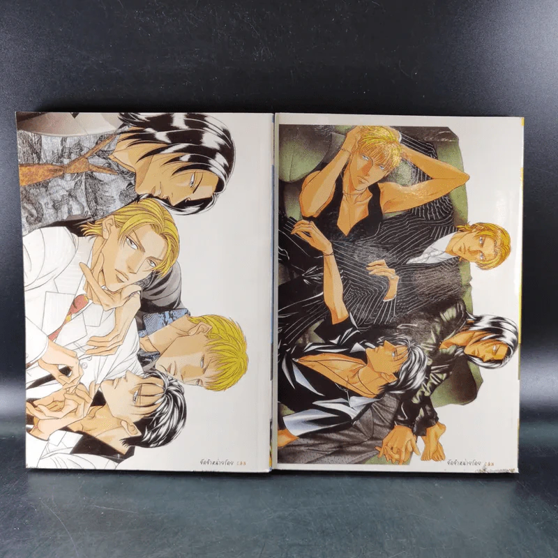 การ์ตูนวาย Love Affair เล่ม 1-2 รูปที่ 2