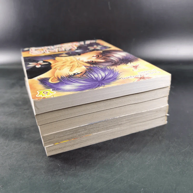 การ์ตูนวาย King of Neverland 5 เล่มจบ รูปที่ 5