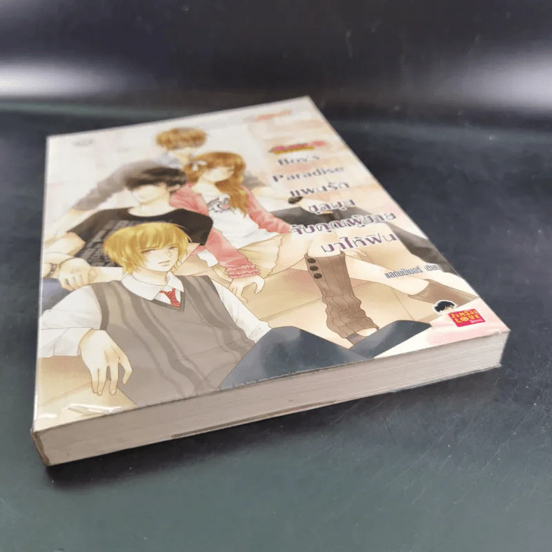 นิยายแจ่มใส Boy's Paradise แผนรักชุลมุนจับคุณผู้ชายมาให้ฟิน - แสตมป์เบอรี่ รูปที่ 4