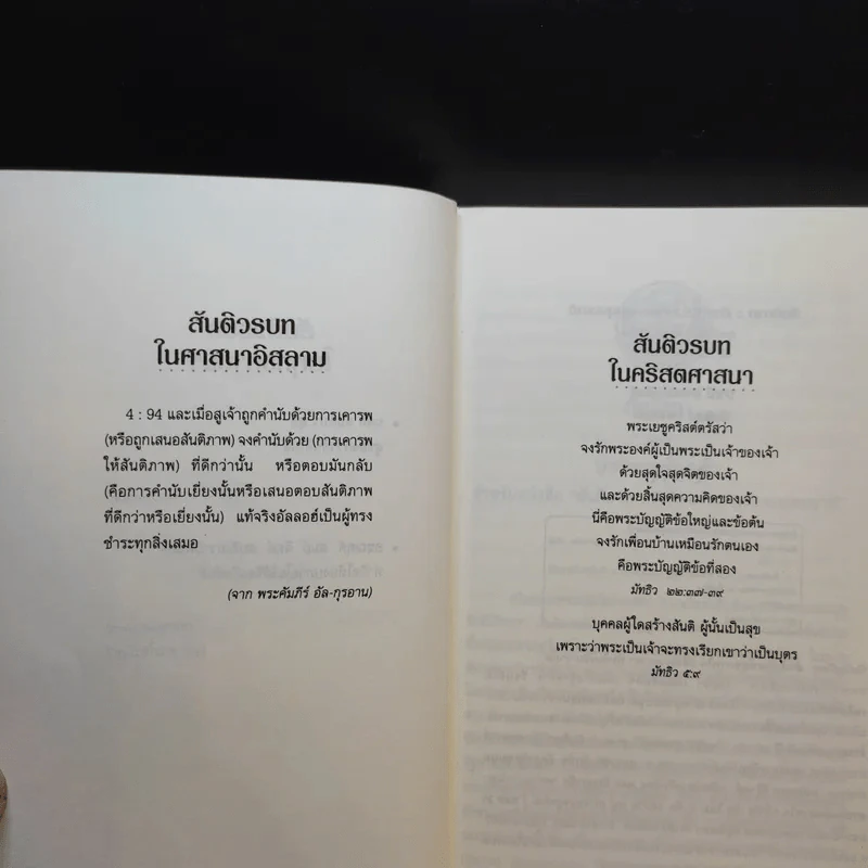 สันติภาพ ชัยชนะร่วมกันของมนุษยชาติ รูปที่ 10