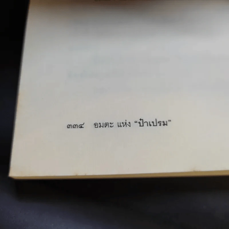 อมตะแห่งป๋าเปรม - วาสนา นาน่วม รูปที่ 13