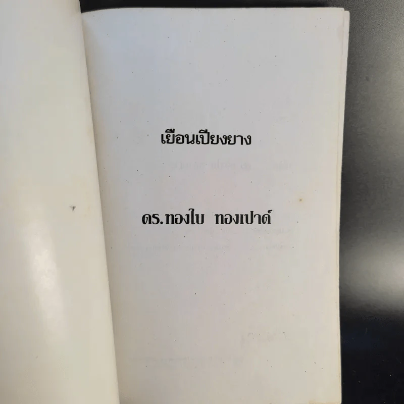 เยือนเปียงยาง - ทองใบ ทองเปาด์ รูปที่ 8