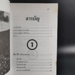 ท่องเมืองจีน ดินแดนกำแพงมหัศจรรย์ - อำนาจ เจริญศิลป์ รูปที่ 13