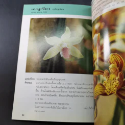 คู่มือคนรักต้นไม้ กล้วยไม้ไทย เล่ม 2 - วชิรพงศ์ หวลบุตตา รูปที่ 15