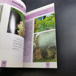 คู่มือคนรักต้นไม้ 12 เล่ม รูปที่ 19