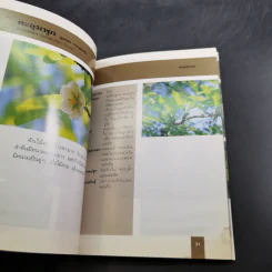 คู่มือคนรักต้นไม้ 12 เล่ม รูปที่ 12