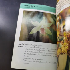 คู่มือคนรักต้นไม้ 12 เล่ม รูปที่ 32