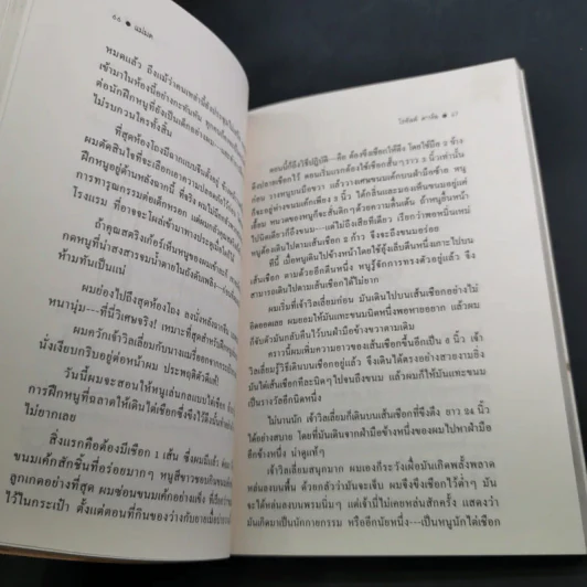 แม่มด - โรอัลด์ ดาห์ล รูปที่ 14