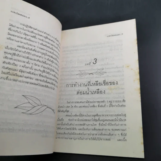 แปลงโฉมตนเองภายใน 10 วัน - เลสลี เคนตัน รูปที่ 12