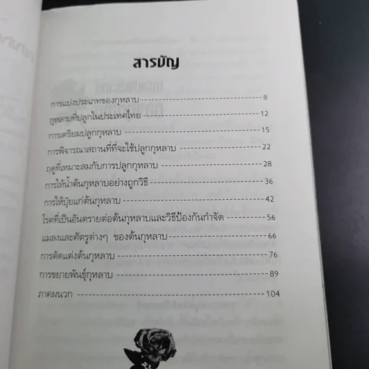 ชุด สวนสวยด้วยตัวเอง กุหลาบ - ณัชิมา ศิลปอนันต์ รูปที่ 13