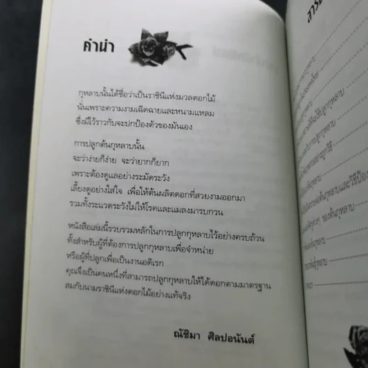 ชุด สวนสวยด้วยตัวเอง กุหลาบ - ณัชิมา ศิลปอนันต์ รูปที่ 12