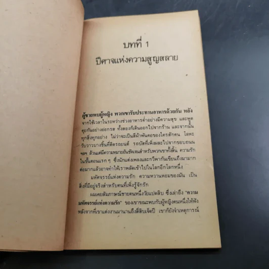 หกปีศาจแห่งความรัก - สตีฟ เบอแมน รูปที่ 11