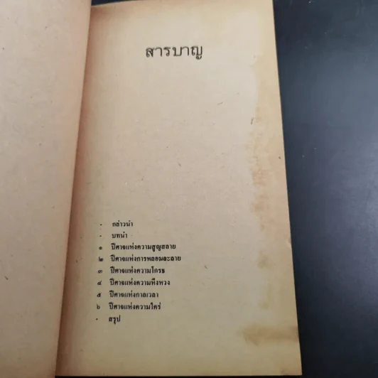 หกปีศาจแห่งความรัก - สตีฟ เบอแมน รูปที่ 9