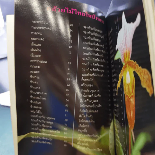 คู่มือคนรักต้นไม้ 12 เล่ม รูปที่ 23