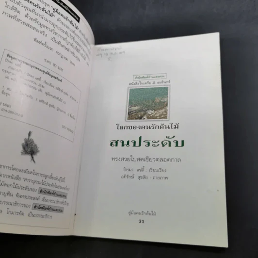 คู่มือคนรักต้นไม้ 12 เล่ม รูปที่ 62