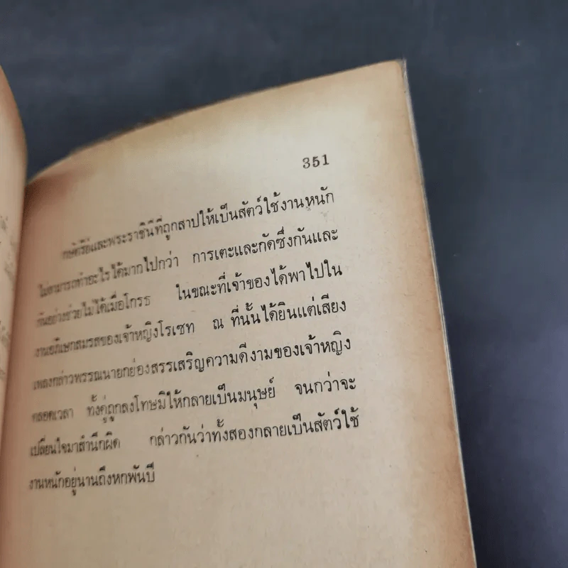 นิยายฝรั่งเศส - ช่อเชอรี่ รูปที่ 14