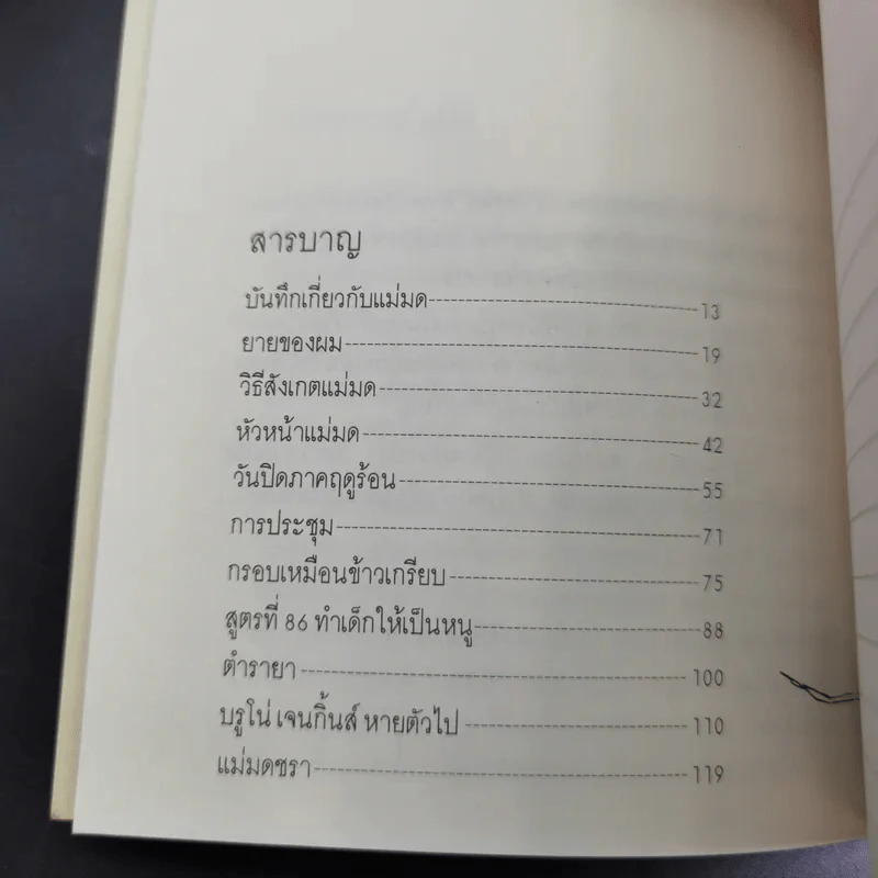 แม่มด - โรอัลด์ ดาห์ล รูปที่ 11