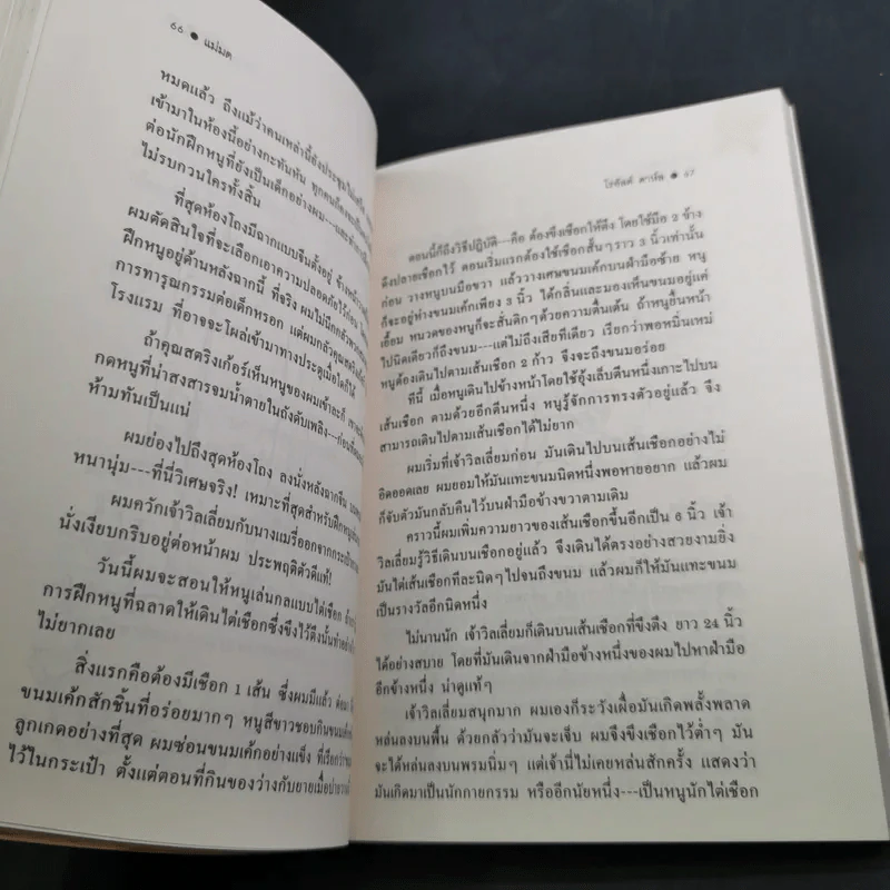 แม่มด - โรอัลด์ ดาห์ล รูปที่ 14